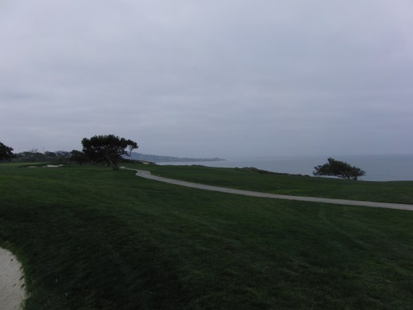 Torrey Pines 009