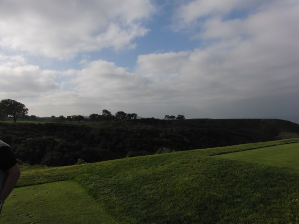 Torrey Pines 015