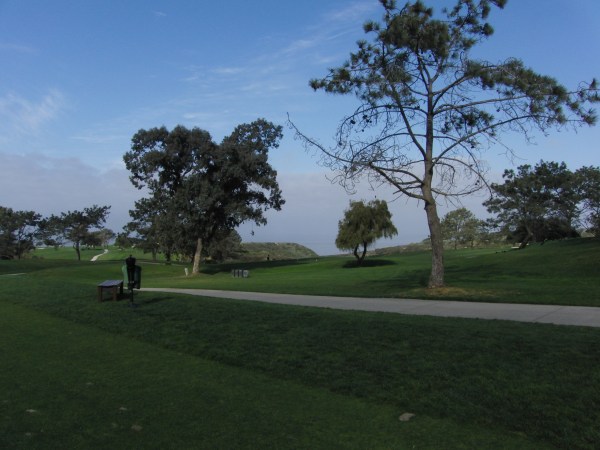 Torrey Pines 016