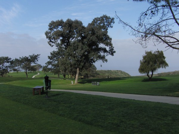 Torrey Pines 018