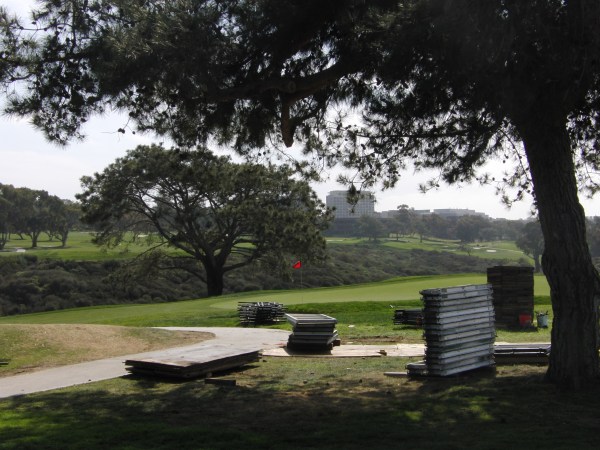 Torrey Pines 022