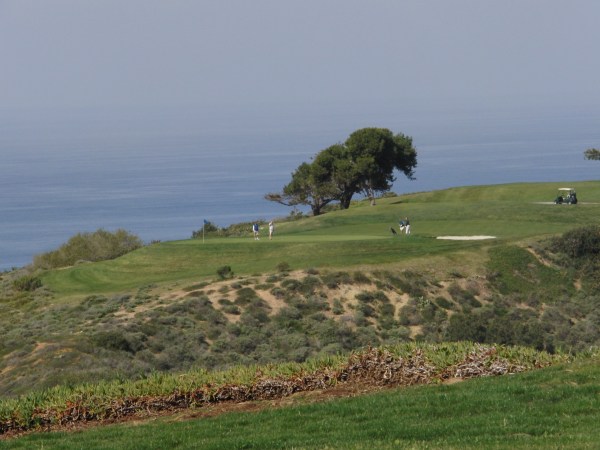 Torrey Pines 024